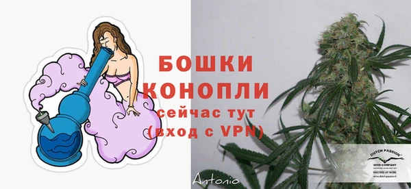 шишки Нефтекумск