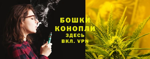 МДПВ Нефтегорск
