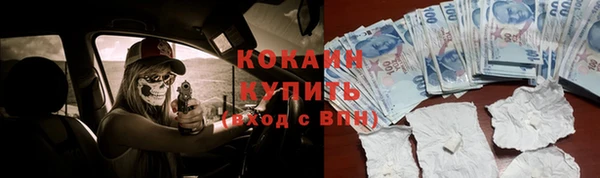 шишки Нефтекумск