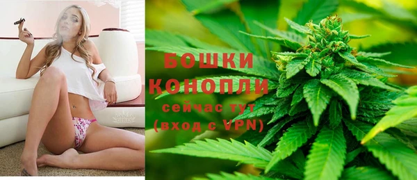 МДПВ Нефтегорск