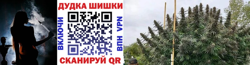 Конопля сатива  Суворов 